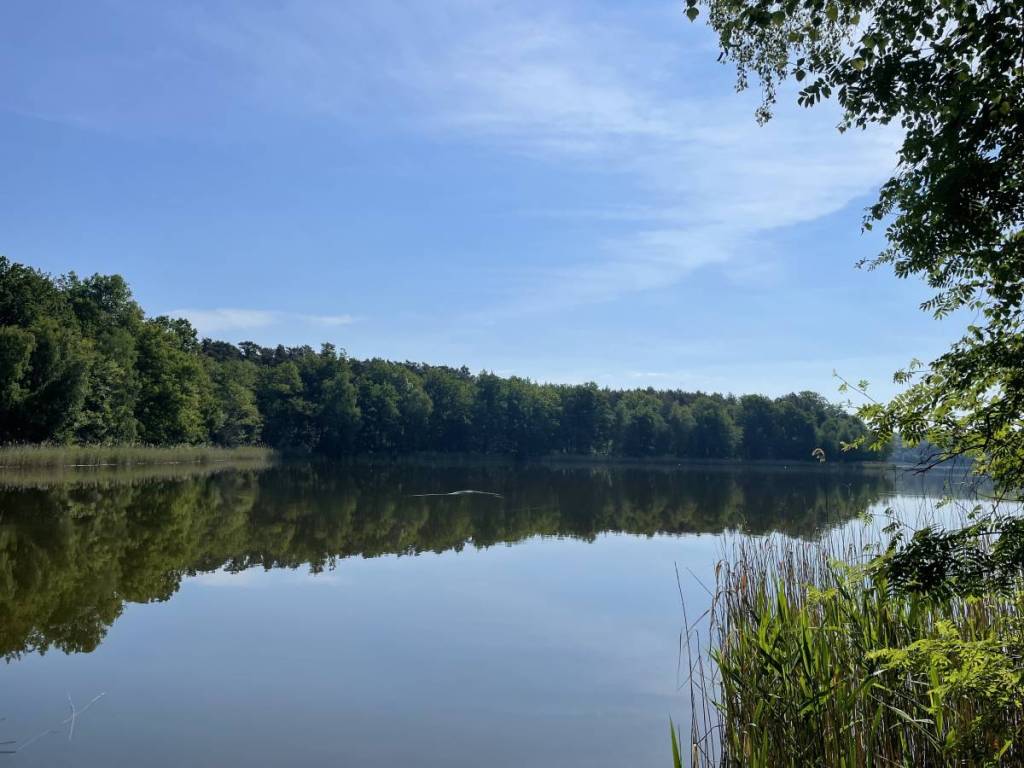 Il lago Oderiner nella valle del Dahme
