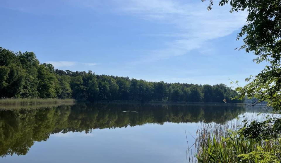 Just 1 hour from Berlin, you can take the train to this idyllic lake with numerous coves and a small sandy beach