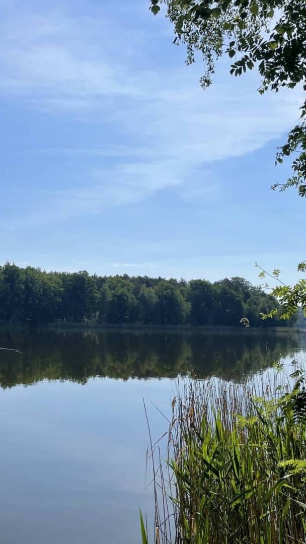 Nur 1 Stunde von Berlin entfernt kommst du mit der Bahn zu diesem idyllischen See mit zahlreichen Buchten und einem kleinen Sandstrand