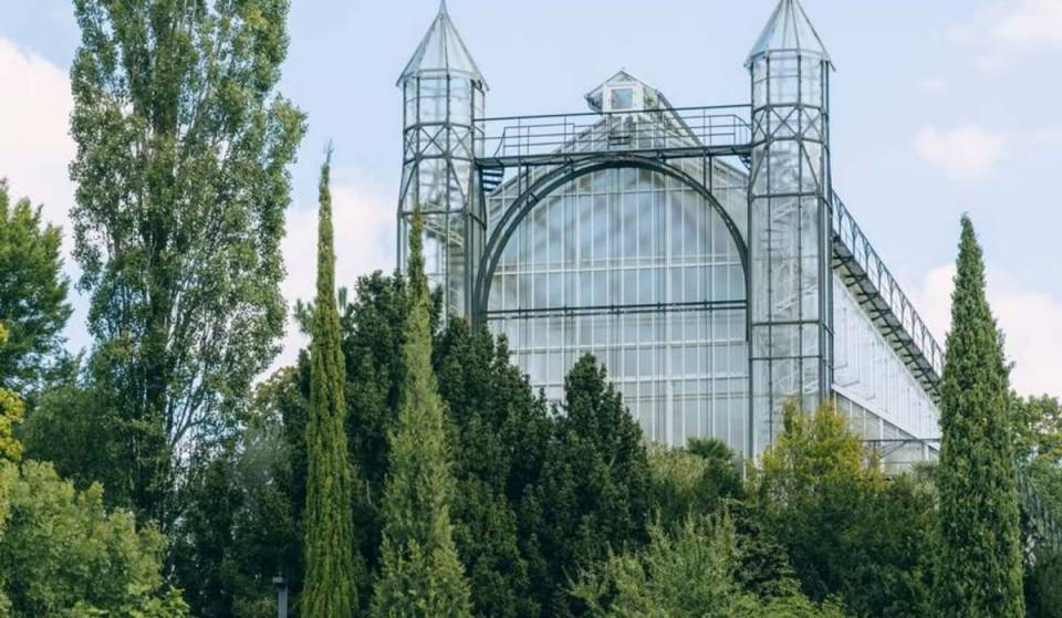 29 million euros for the restoration of the oldest of the 15 greenhouses in the Botanical Garden, which houses Germany’s most valuable collection of Mediterranean plants