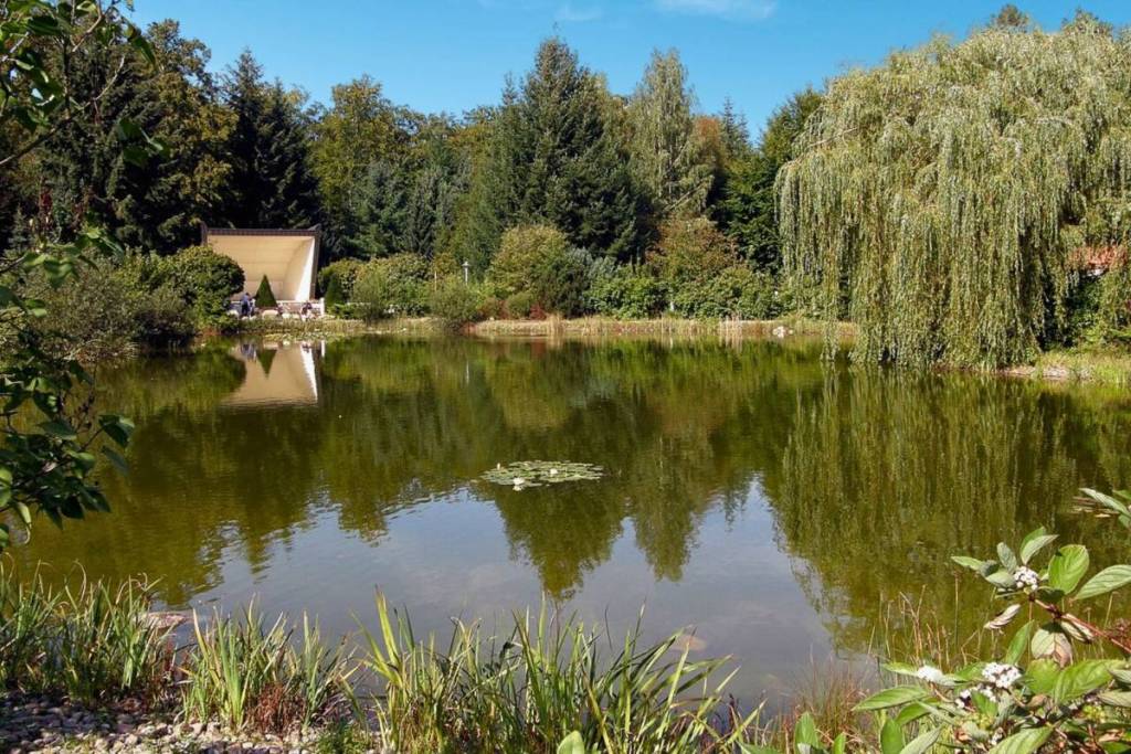 Un idilliaco laghetto circondato da alberi rigogliosi e da un grande salice piangente, situato nell’area dell’odierna Brandenburgklinik. Nell’acqua si riflette un padiglione chiaro.