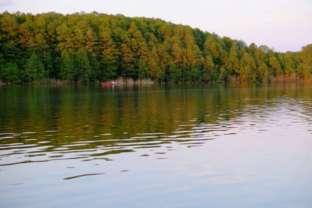 La riserva naturale del Pätzer Hintersee nel Brandeburgo