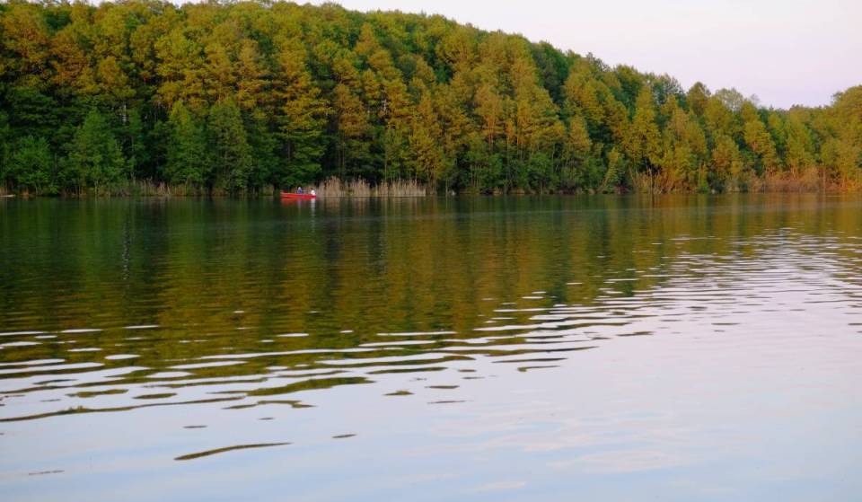 Just 50 minutes from Berlin: Take the train to this pristine natural lake with hidden swimming spots and an idyllic sandy beach