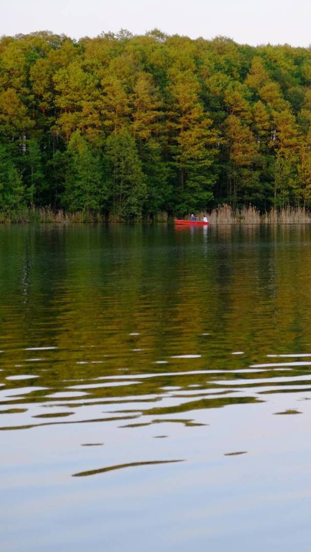 Just 50 minutes from Berlin: Take the train to this pristine natural lake with hidden swimming spots and an idyllic sandy beach