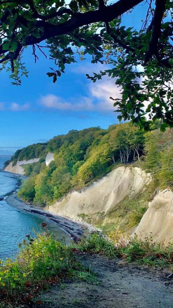 3 Stunden von Berlin gelangt ihr zu den höchsten Kreidefelsen Deutschlands mit bis zu 118 Metern und einem UNESCO-Weltnaturerbe mit rund 650.000 jahrhundertealten Buchen