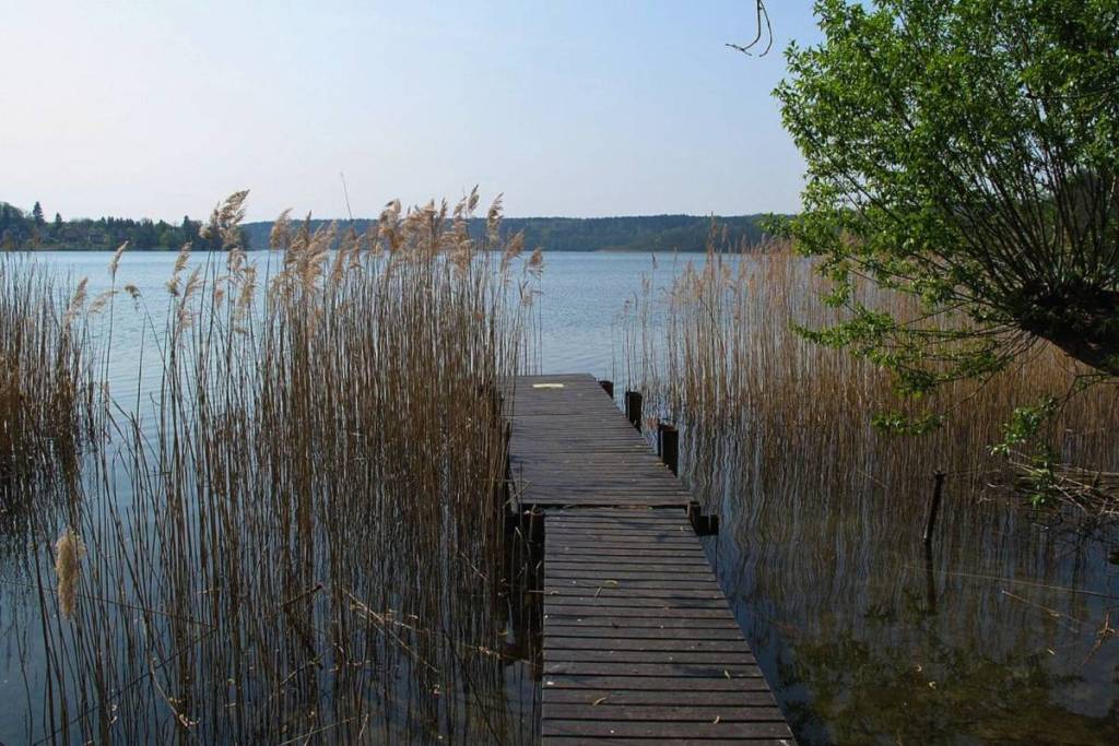 Ein schmaler, rustikaler Holzsteg führt durch dichtes, hohes Schilf direkt in den ruhigen Schermützelsee hinein und vermittelt ein Gefühl von absoluter Stille und Naturverbundenheit.
