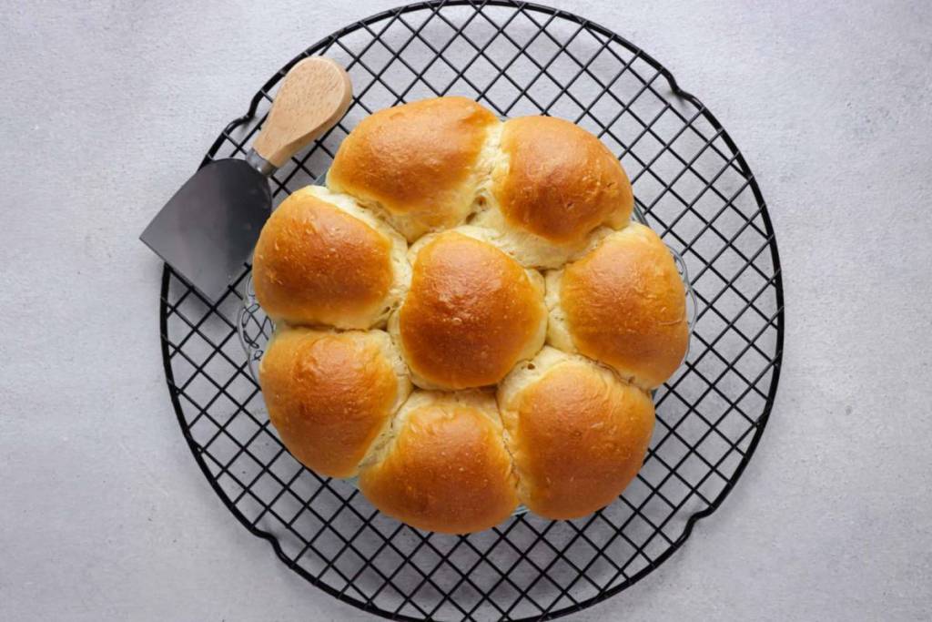 Pani Popo