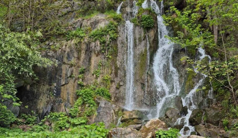 Knapp 3 Stunden von Berlin entfernt liegt ein Harzer Wasserfall auf 496 Metern Höhe, der 1994 in einem ehemaligen Steinbruch künstlich angelegt wurde