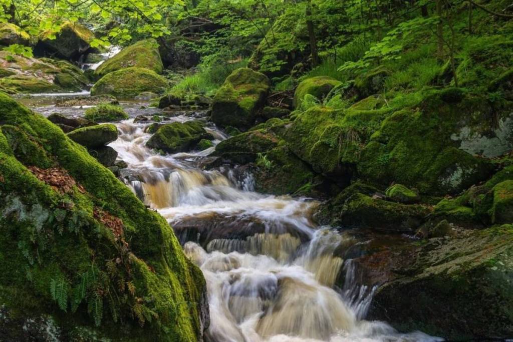 Ilsetal