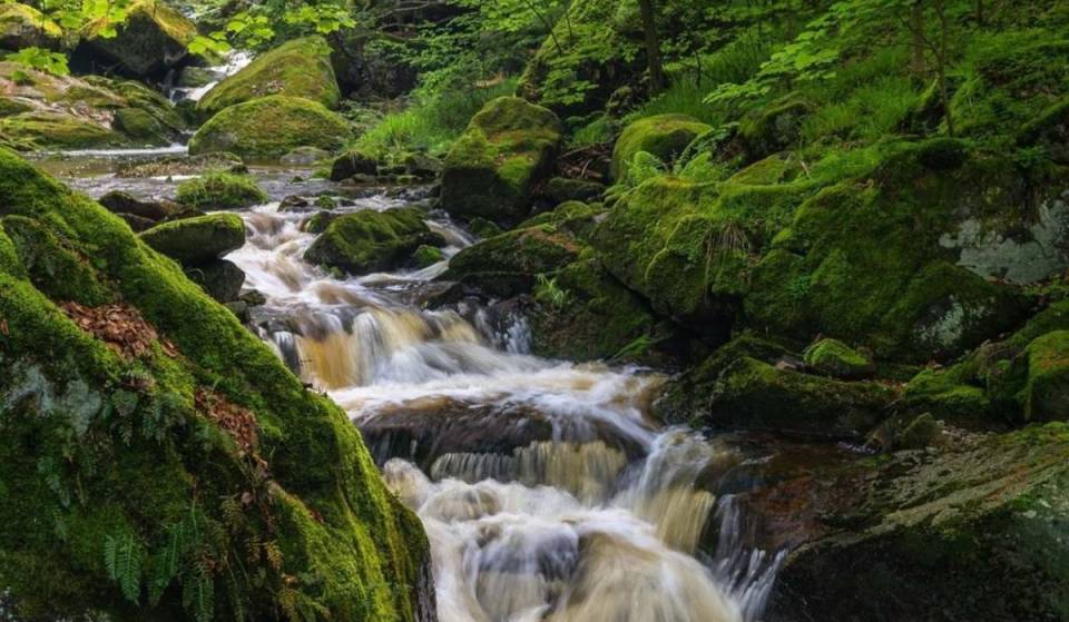 Rund 2,5 Stunden von Berlin liegt das wohl schönste Tal im Harz – mit einer Quelle auf über 1.000 Metern am Brocken &amp; dem berühmten Heinrich-Heine-Weg