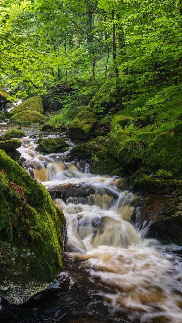 A circa 2,5 ore da Berlino si trova quella che è probabilmente la valle più bella dell’Harz – con una sorgente a oltre 1.000 metri sul Brocken e il famoso sentiero Heinrich-Heine-Weg