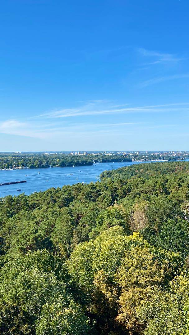 A solo 30 minutos de Alexanderplatz llegarás a la ruta de senderismo más bonita de Berlín: 10 kilómetros de naturaleza con 30 puntos de información.