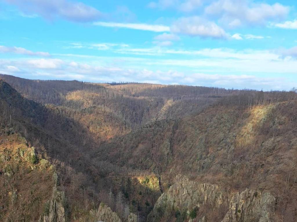 Roßtrappe