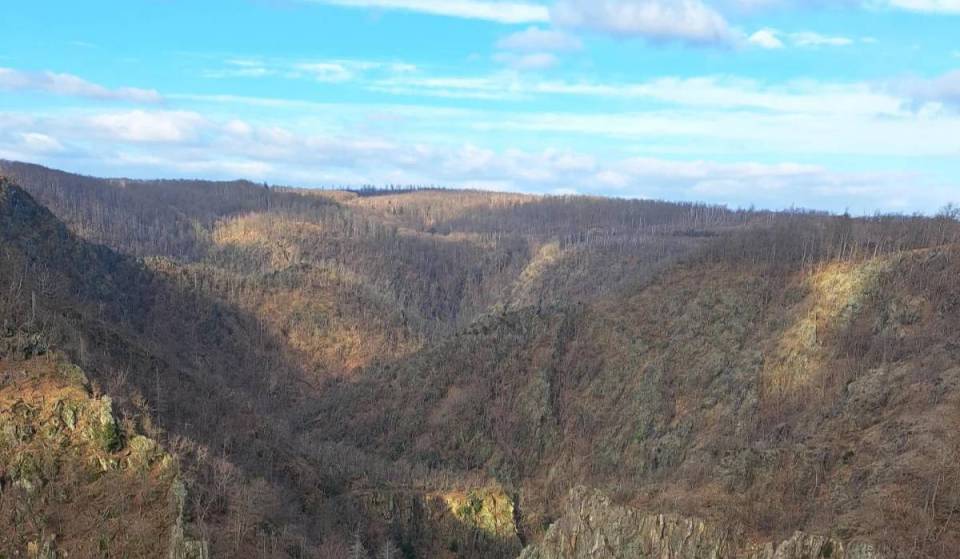 2,5 Stunden von Berlin gelangt ihr zu einem Ausssichtspunkt auf einem Naturdenkmal mit Blick auf ein romantisches Tal, einen Hexentanzplatz &amp; mehr – auf 403 Metern Höhe