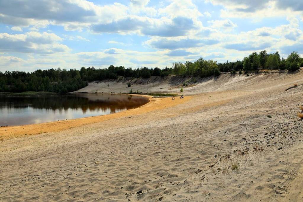 Ampio paesaggio nella regione dei laghi della Lusazia, con in primo piano una vasta spiaggia sabbiosa e pianeggiante che digrada dolcemente verso il lago Bergheider See. Sulla riva e sullo sfondo crescono fitti alberi e cespugli verdi sotto un cielo blu solcato da nuvole bianche.