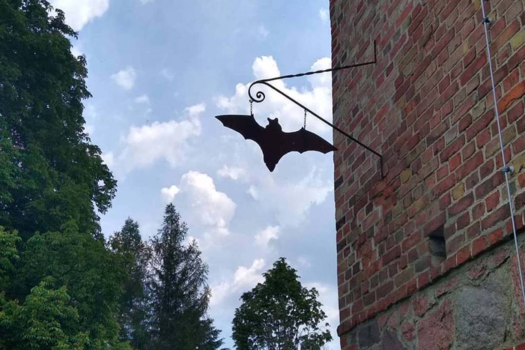Musée des chauves-souris