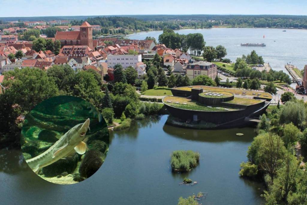 The Müritzeum from above