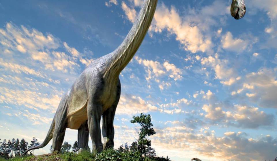 40 Minuten von Berlin entfernt findet ihr Dinosaurier in Lebensgröße (mit 27 m langem Brachiosaurus!) und einen Streichelzoo mit 650 Tieren. Zebras, Alpakas, Flamingos und Antilopen…