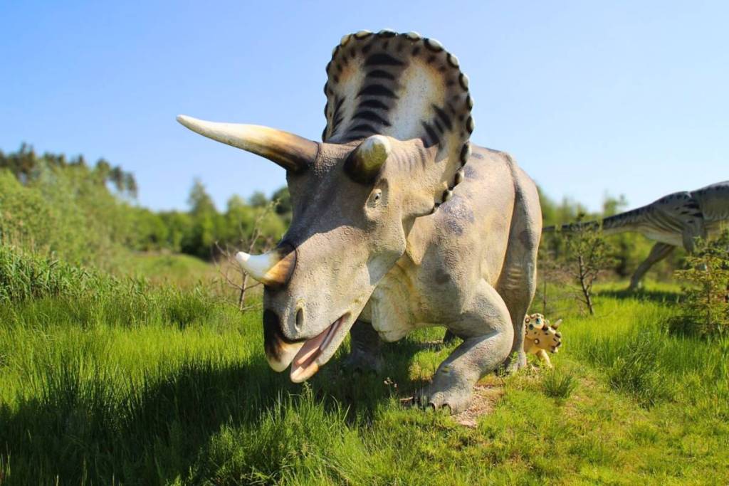 Detailgetreue Triceratops-Dinosaurier-Statue auf einer grünen Wiese im Freizeitpark Germendorf