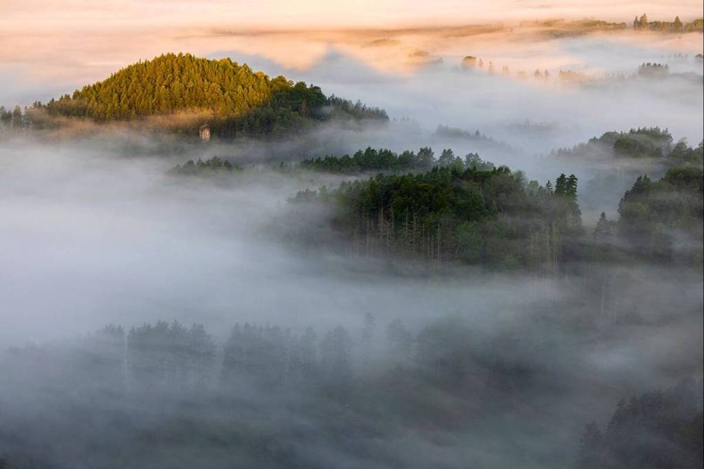 Mystiek mistlandschap bij zonsopgang boven de dichte bossen en rotssteden van Boheems Zwitserland.