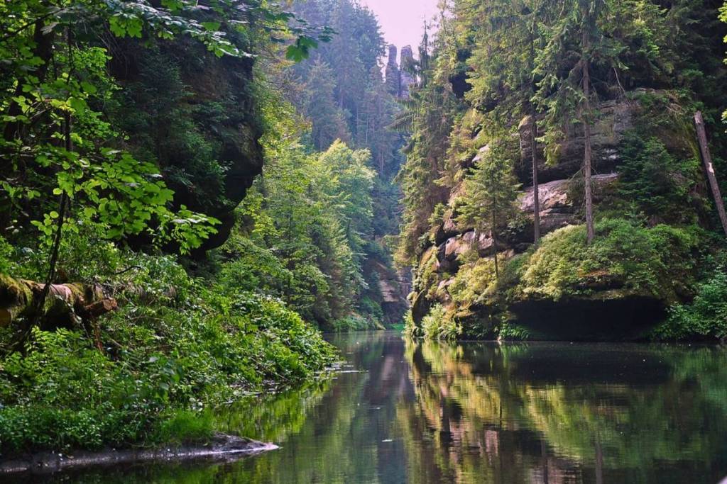 Rustig water en steile, met mos begroeide rotswanden in de woeste Kamnitz-kloof (Kamenice) in Tsjechië.