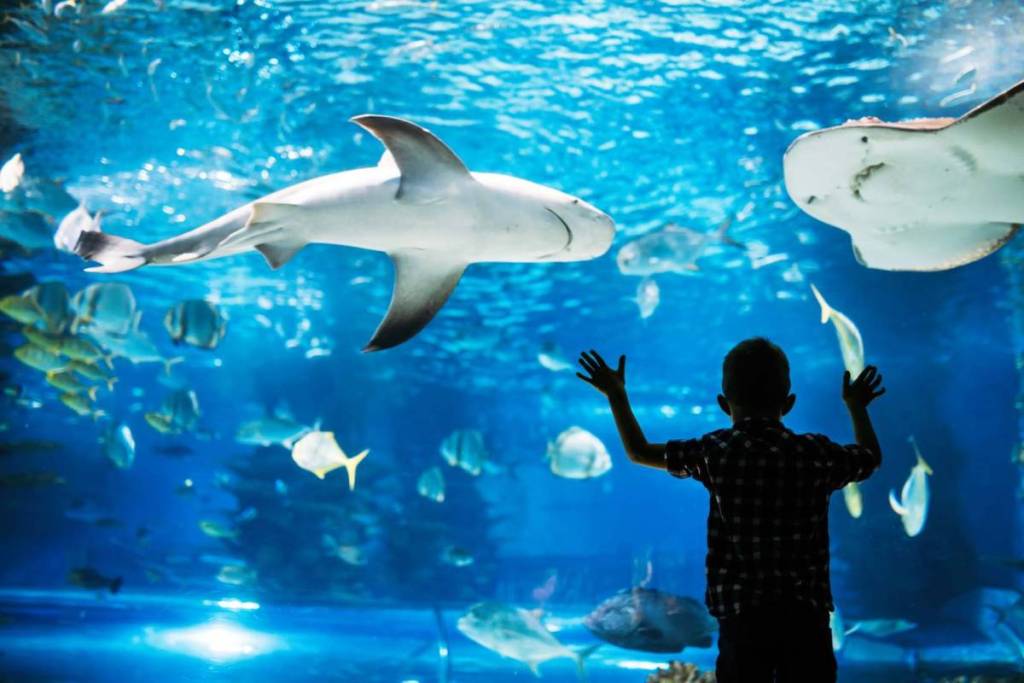 Aquarium de Berlin