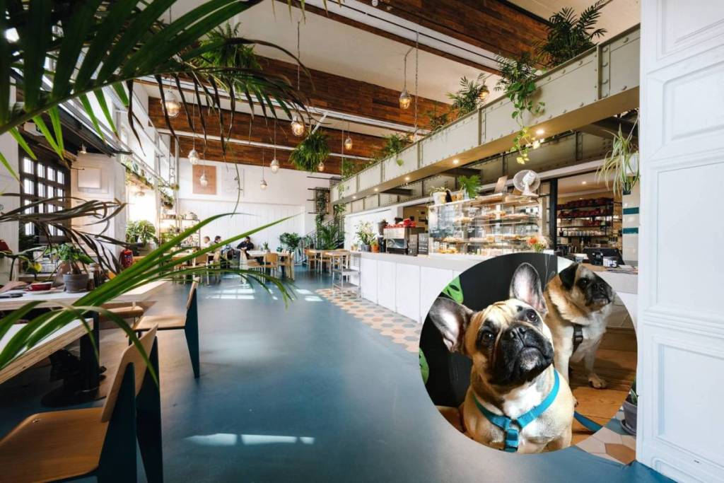 Al The Greens di Berlino anche i cani sono i benvenuti!