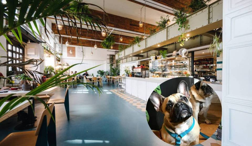 Berlins wohl grünster Kiez-Geheimtipp: Dieses versteckte Café mit Dschungel-Flair verwandelt einen historischen Ort in eine grüne Oase, in der auch Hunde herzlich willkommen sind