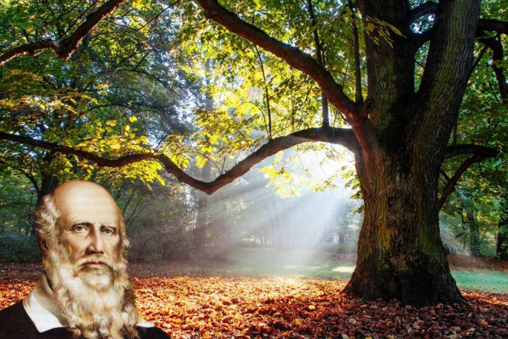 Illustratie van Turnvader Jahn naast de historische Jahneiche in het zonnige Volkspark Hasenheide in Neukölln.