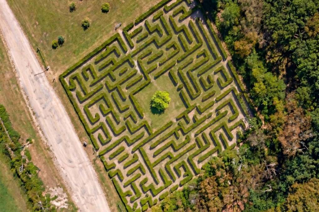 Vue aérienne du labyrinthe de Wesendahl, dans le Brandebourg. On distingue clairement le tracé carré des allées de haies avec l’arbre central, entouré de forêt et d’un chemin de gravier.