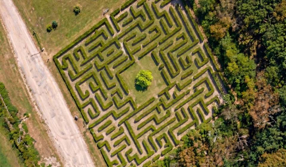 À 1 h 30 de Berlin : pourquoi ce labyrinthe dans le Brandebourg doit figurer sur ta liste d&rsquo;excursions (et pourquoi ce n&rsquo;est en fait pas du tout un labyrinthe)