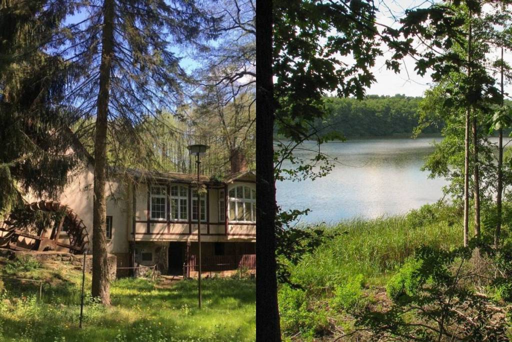 Une image en deux parties : à gauche, le moulin abandonné de Wesendahl avec sa roue à eau (un « lost place »), à droite, la vue à travers les arbres sur les eaux du lac Fängersee, dans le Brandebourg.