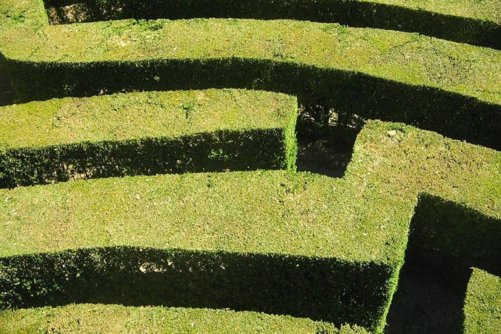 Gros plan sur les haies verdoyantes taillées de près et les sentiers étroits du labyrinthe de Wesendahl, dans le Brandebourg, à l'est de Berlin.
