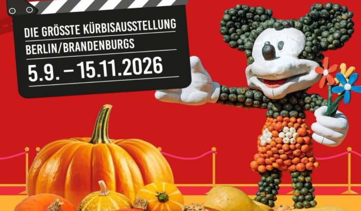 À environ 50 minutes de Berlin se tient la plus grande exposition de citrouilles de la région – avec plus de 100 000 citrouilles issues de 500 variétés et le plus grand concours de pesée de citrouilles au monde