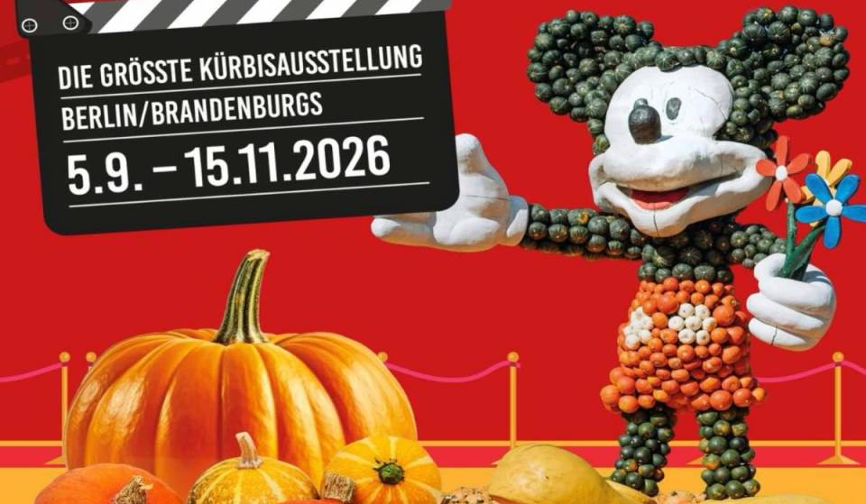 Rund 50 Minuten von Berlin findet die größte Kürbisausstellung der Region statt – mit mehr als 100.000 Kürbissen aus 500 Sorten und der größten Kürbis-Wiegemeisterschaft der Welt