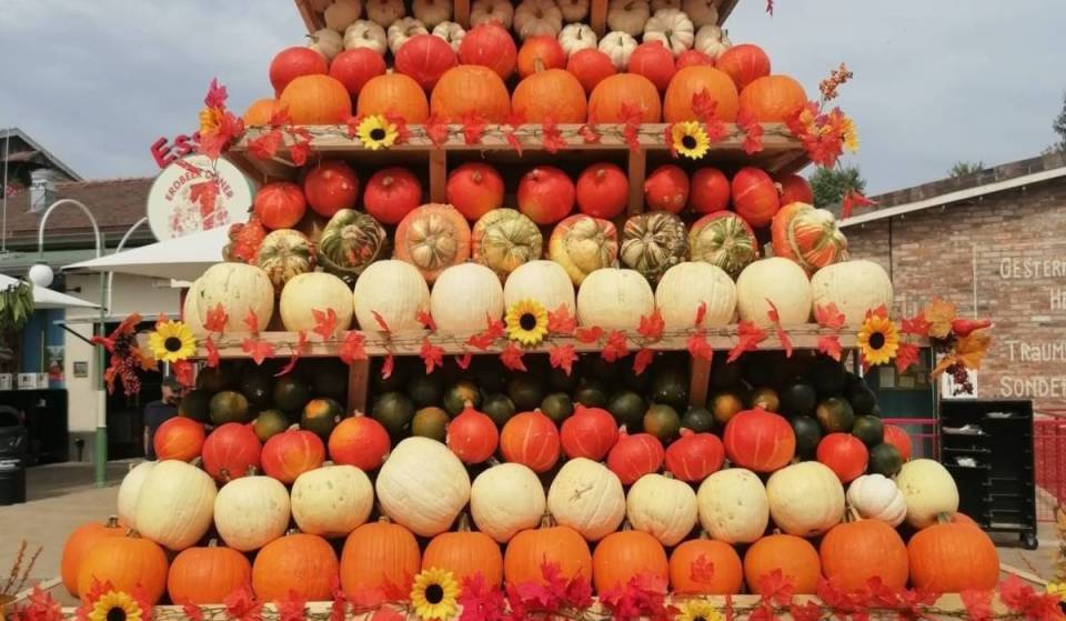 About 30 minutes from Berlin, this adventure village features hundreds of pumpkins, giant figures, and a large pyramid during pumpkin season—with free admission