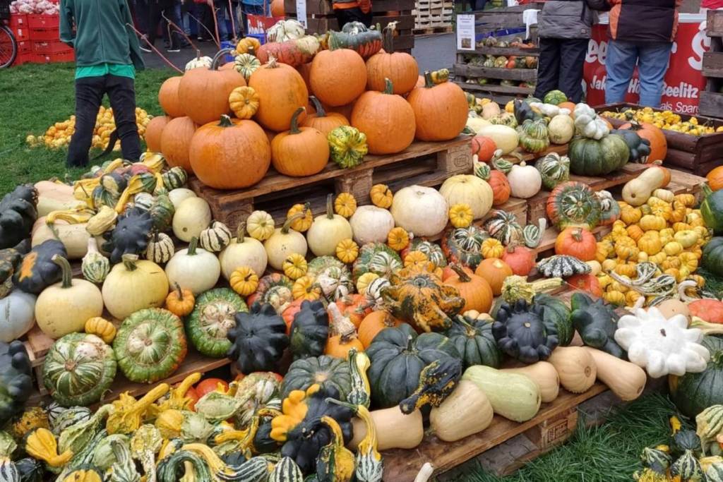 Schöneberg Pumpkin Festival