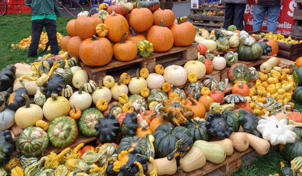 In 8 days, one of Berlin’s biggest pumpkin festivals will take place, featuring more than 10,000 pumpkins and a large market with over 100 vendors