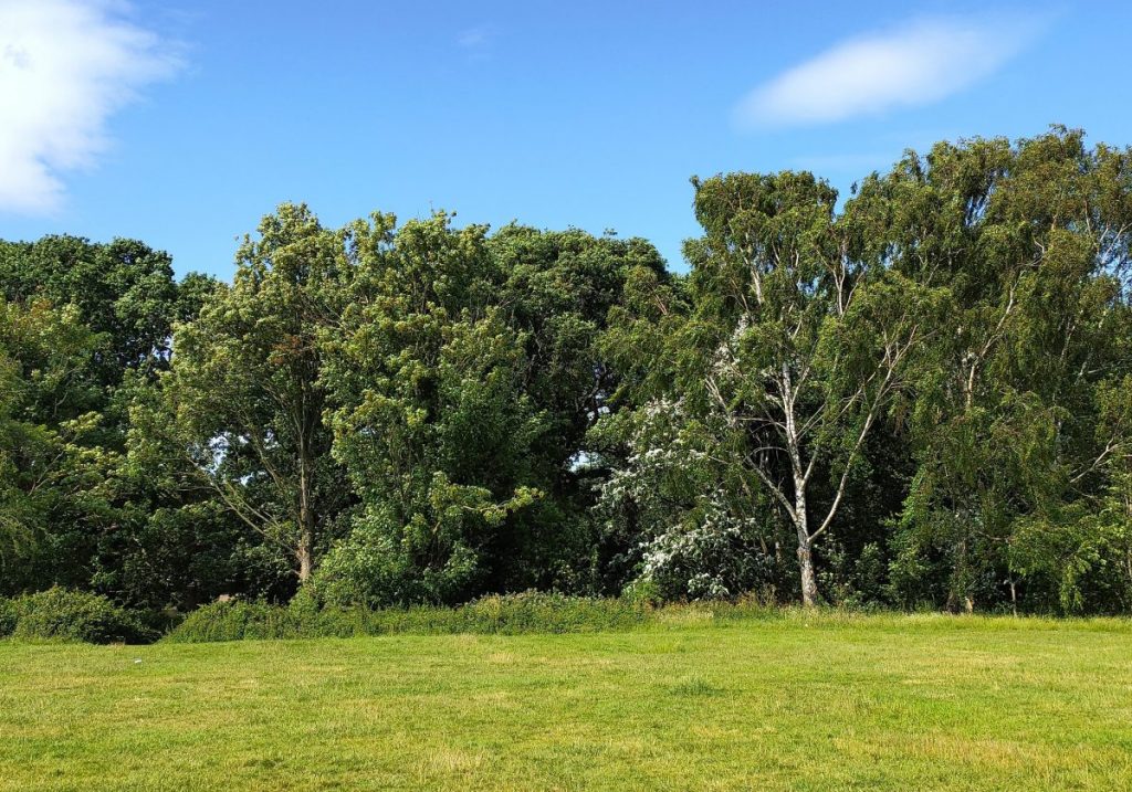 5 Wonderful Woodland Walks Near Birmingham Secret Birmingham