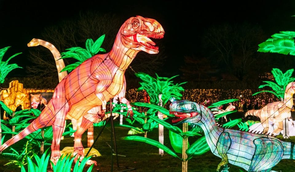 West Midland Safari Park Is Getting A Glow Up As The Lantern Festival Returns This November