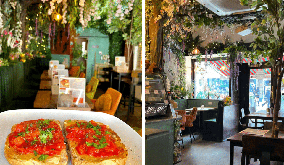 A Forrest-Themed Restaurant Filled With Trees Is Coming To The Mailbox This July