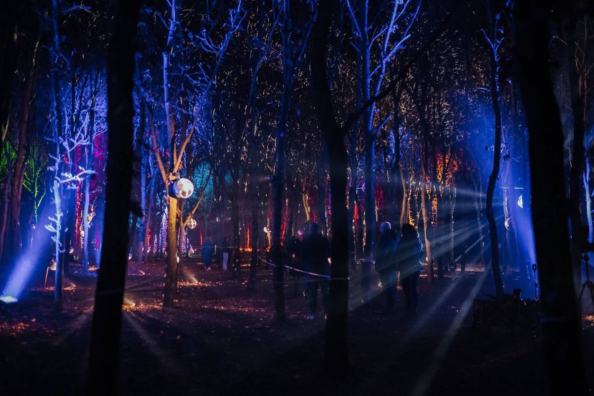 Illuminated Arboretum