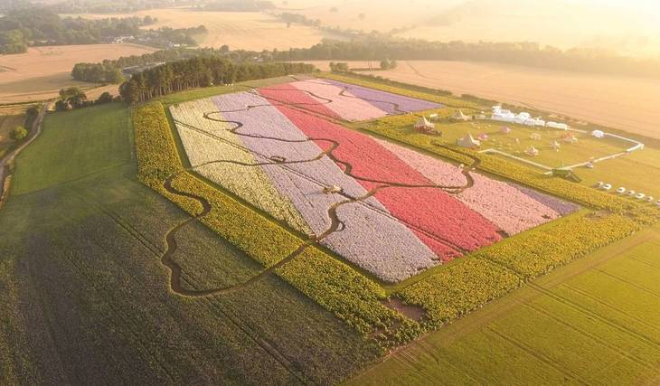 These Picnic-Friendly Petal Fields Are Less Than An Hour From Birmingham &#8211; But They&#8217;re Only Open Until Sunday