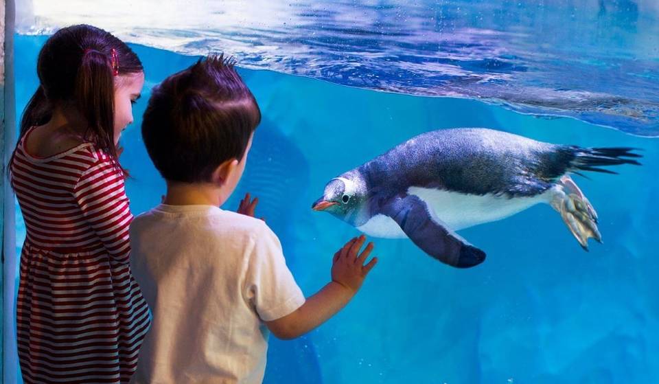 Huge ‘Black Friday’ Discounts On These Birmingham Attractions Throughout December
