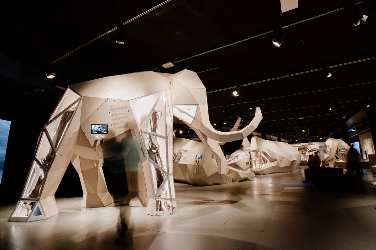 A mammoth from Giants