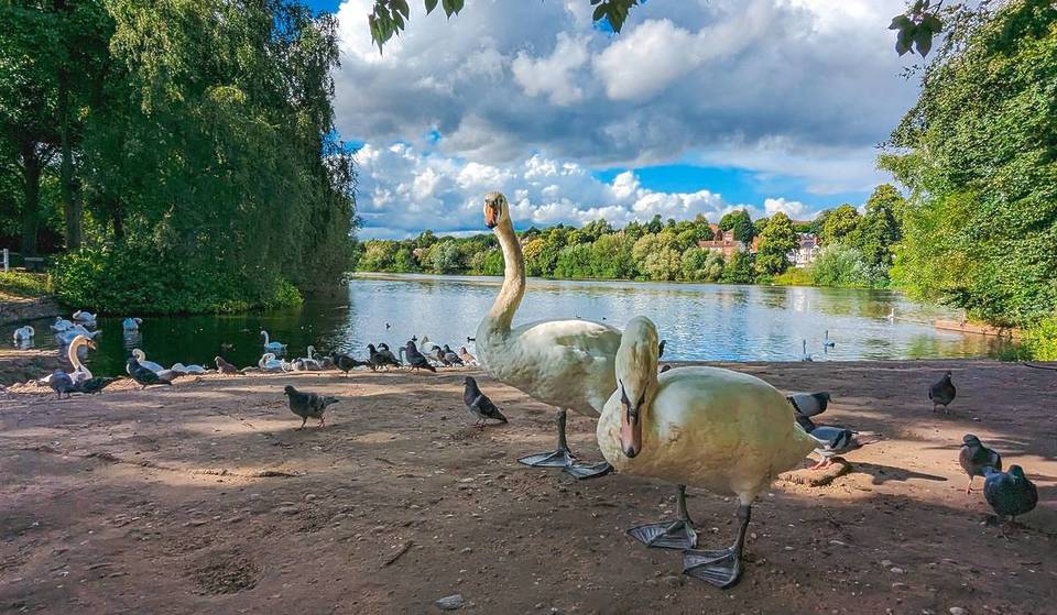 The Most Stunningly Gorgeous Green Spaces That You Won’t Believe Are In Birmingham