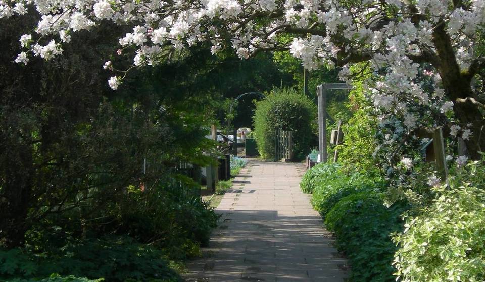 These Gorgeous, Free Gardens Are Ideal For Those In Need Of A Serene Escape From The Daily Hubbub Of Birmingham – It’s An Oasis Of Orchards, Wildflower Meadows & A ‘Shipwreck’ Play Area