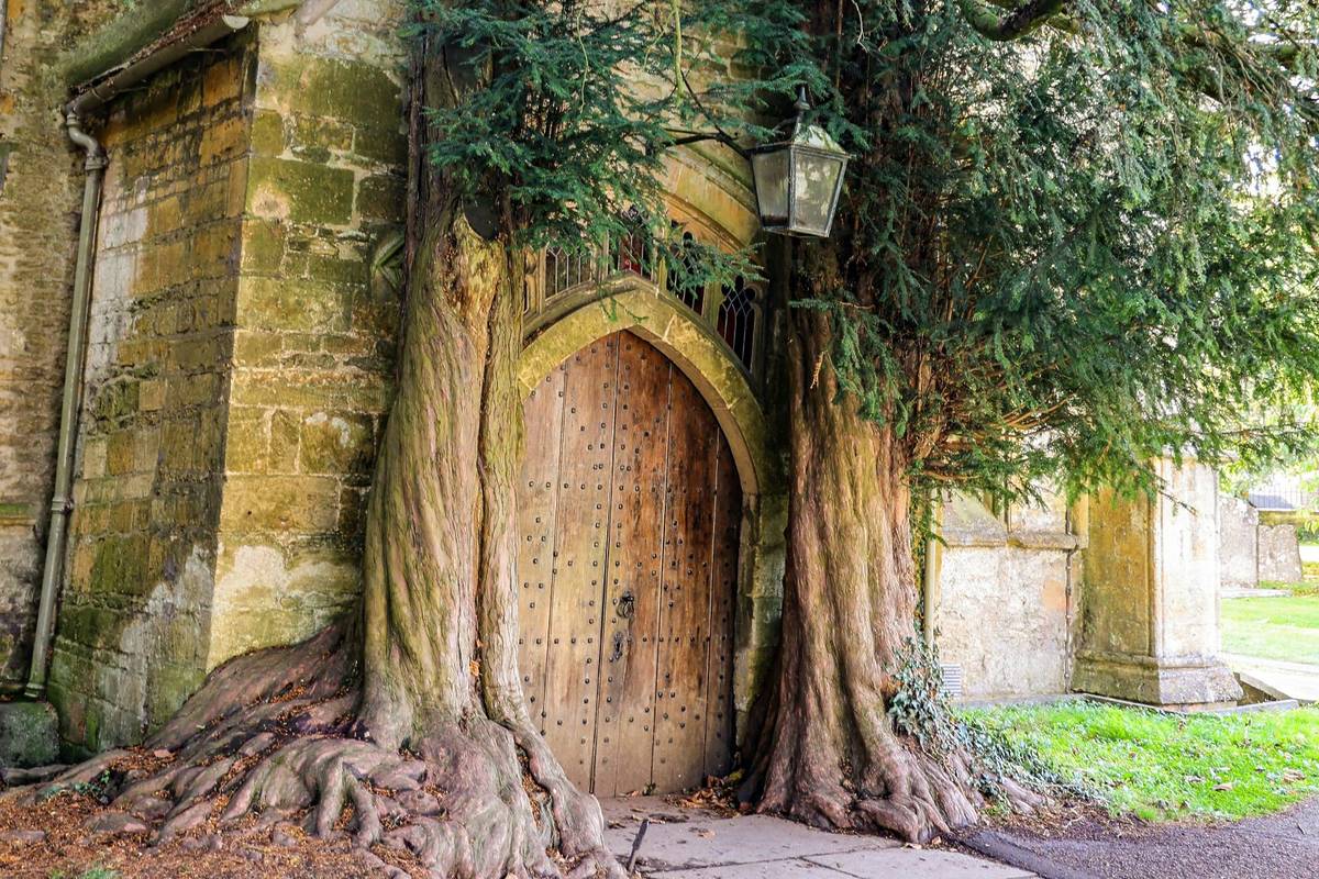North door of St. Edward's Church, nicknamed Doors of Durin, has two yew trees grown into it and inspired J.R.R. Tolkien's Moria gateway
