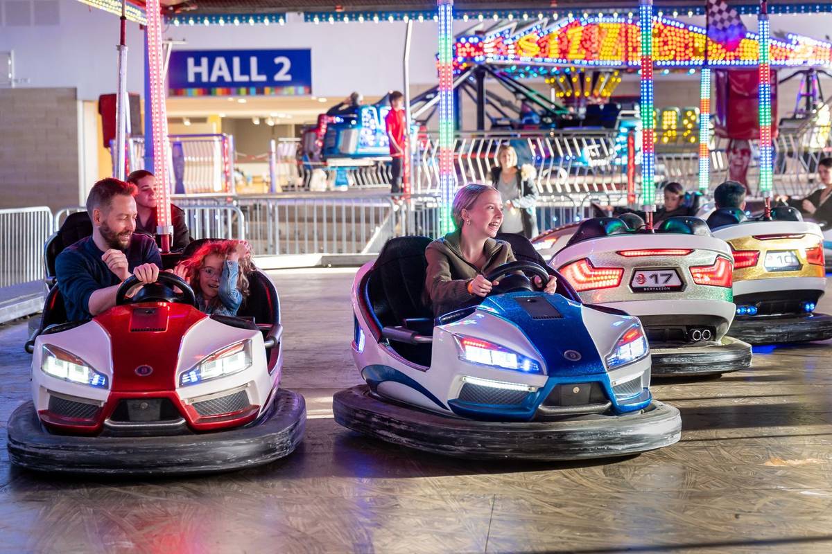 bumper cars