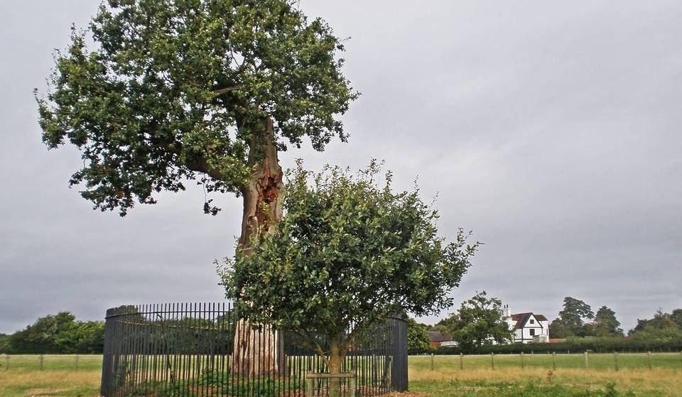 1 Hour From Birmingham, An Ancient Oak Tree Once Hid A Future King Of England From Oliver Cromwell – Today, Find A Working Victorian Farmyard, Children’s Play Area & 17th-Century Garden